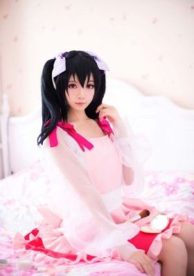 丽枫公棚赛鸽公棚
