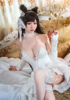 与僧侣的交行合之夜樱花